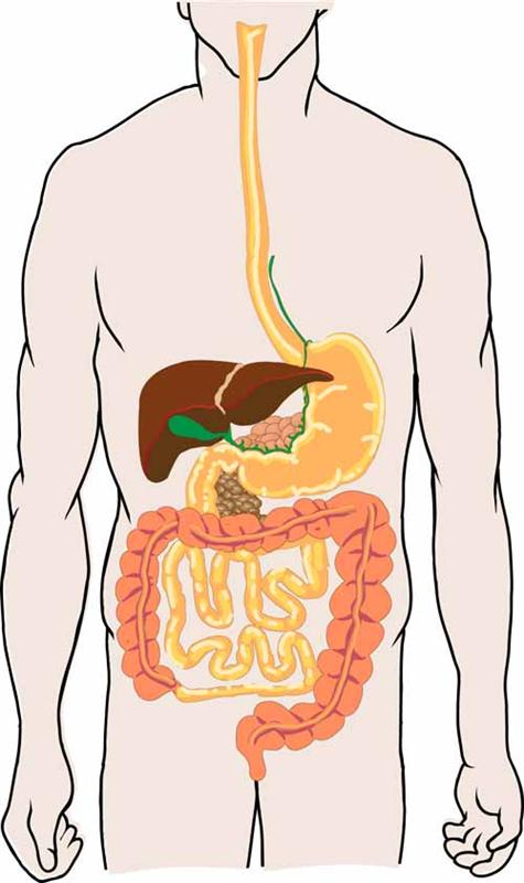 Crohn Hastalığı