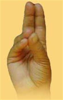 Pran Mudra Hayat Mudrası