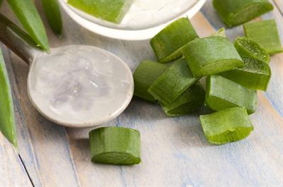 Aloe Vera’nın Sağlığa Faydaları