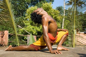 Beden ve Zihni Dengeleyip Çalıştırmanın Ayurvedik yolu: Yoga Asana