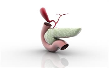 Pankreatit ile İlişkili Vücut Proteinleri