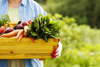 Organik Tercih Etmeniz Gereken ve Gerekmeyen Gıdalar